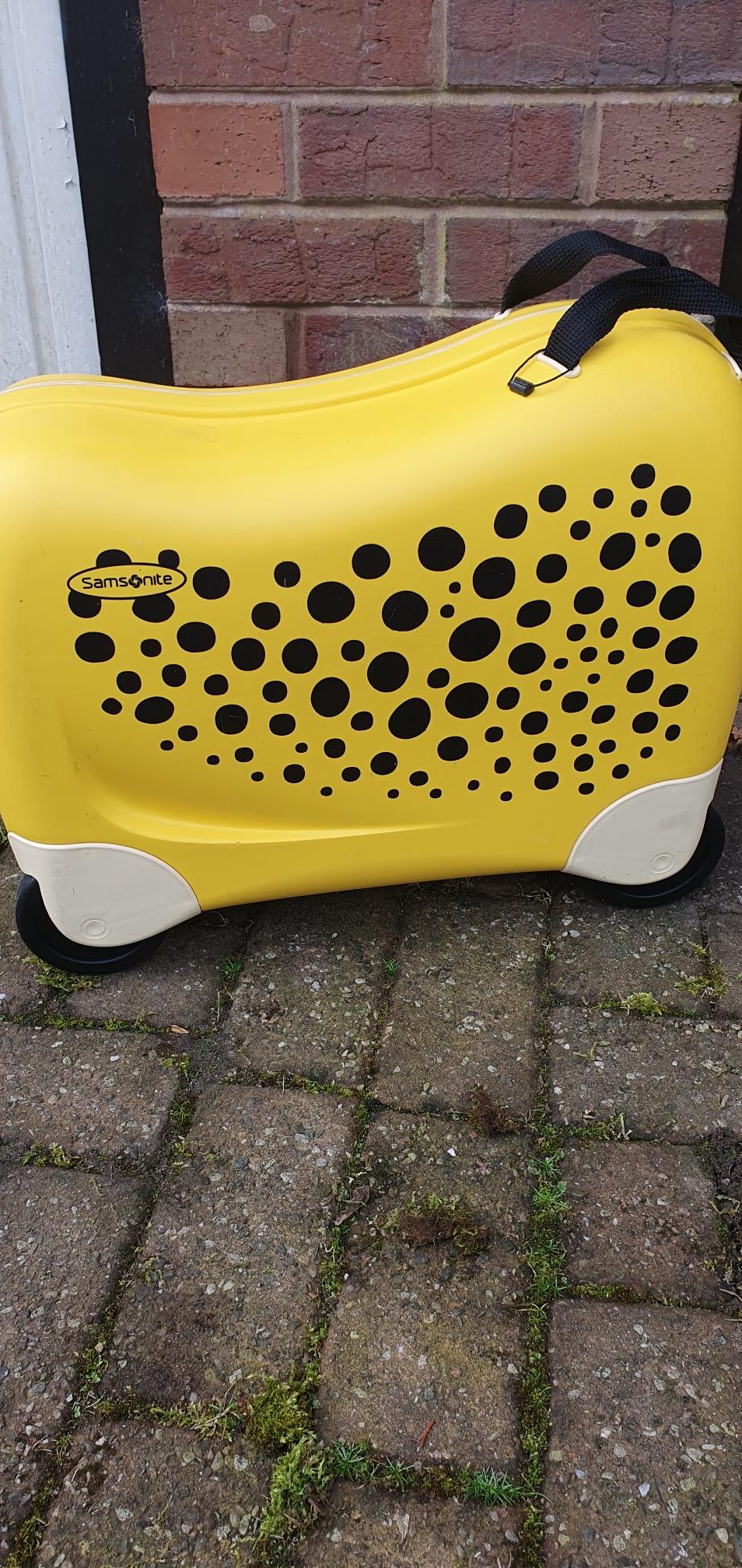 Ex Display Samsonite Dream Rider , 51 cm, 28L,Cheetah