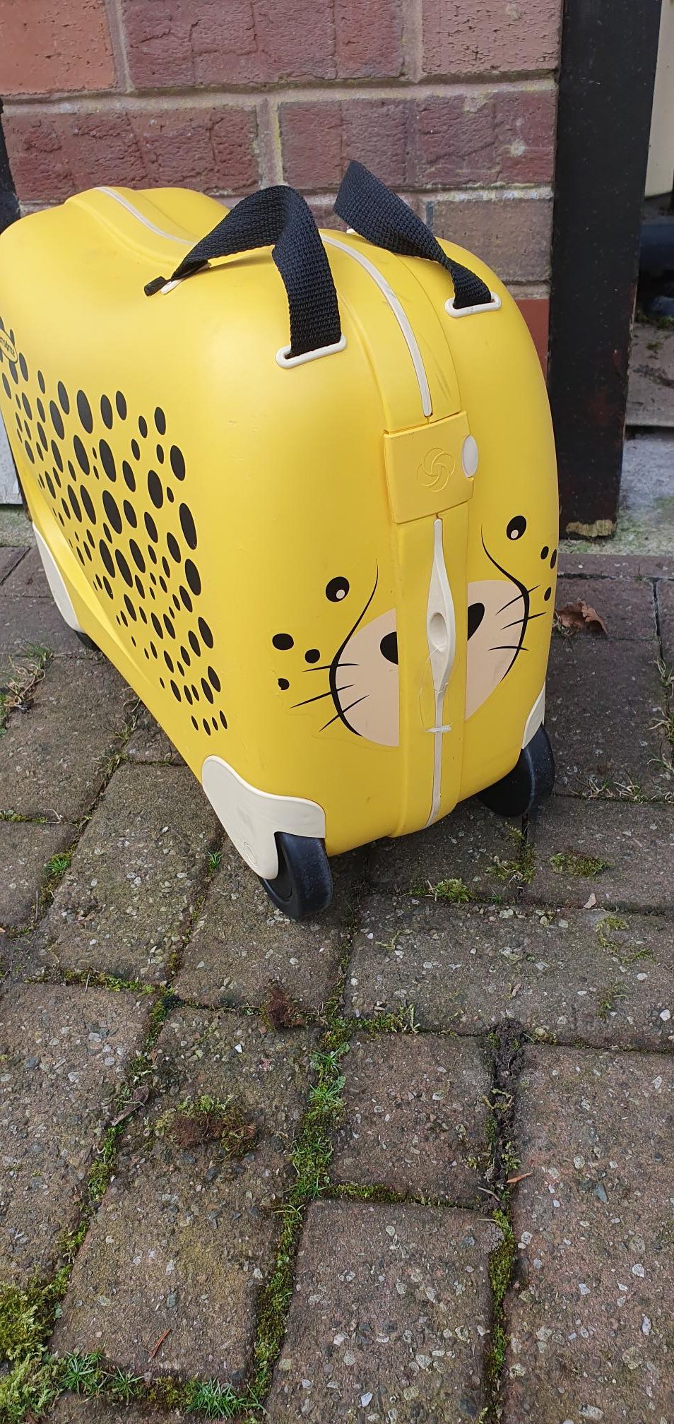 Ex Display Samsonite Dream Rider , 51 cm, 28L,Cheetah