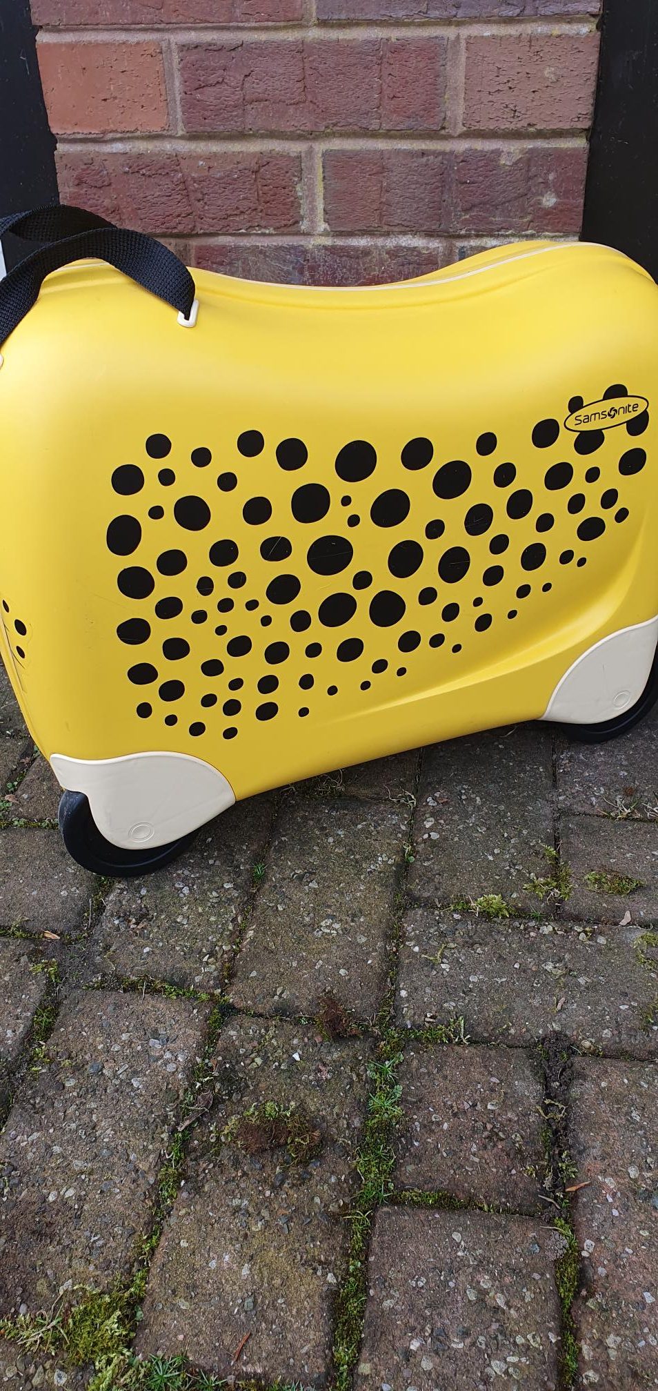 Ex Display Samsonite Dream Rider , 51 cm, 28L,Cheetah