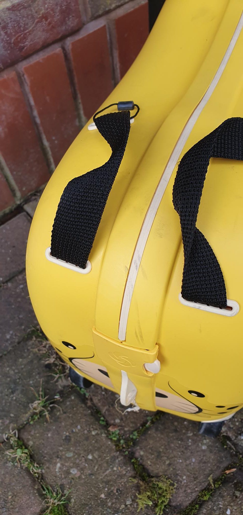 Ex Display Samsonite Dream Rider , 51 cm, 28L,Cheetah